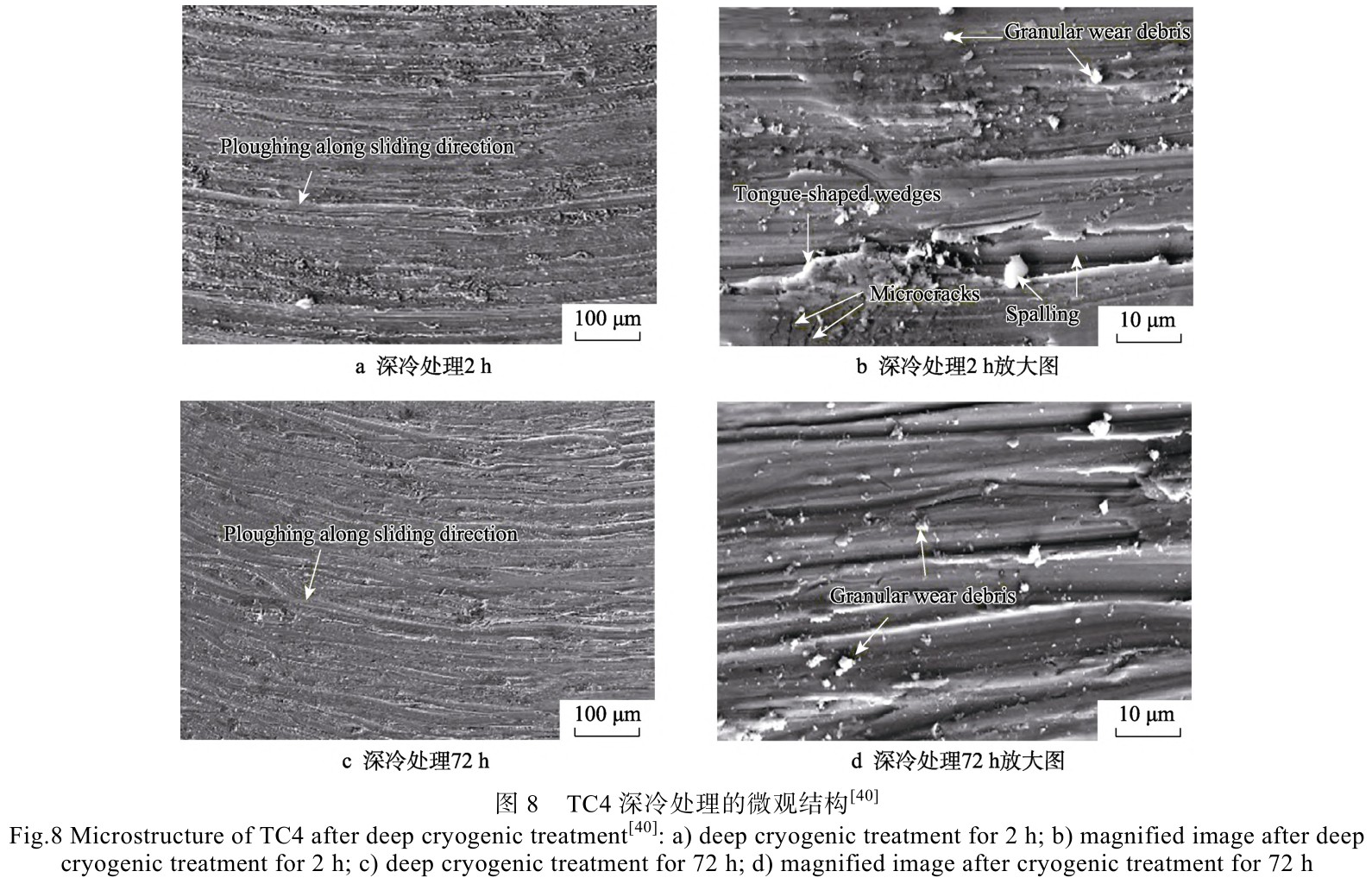 1714996198210420.jpg 未標題-12.jpg