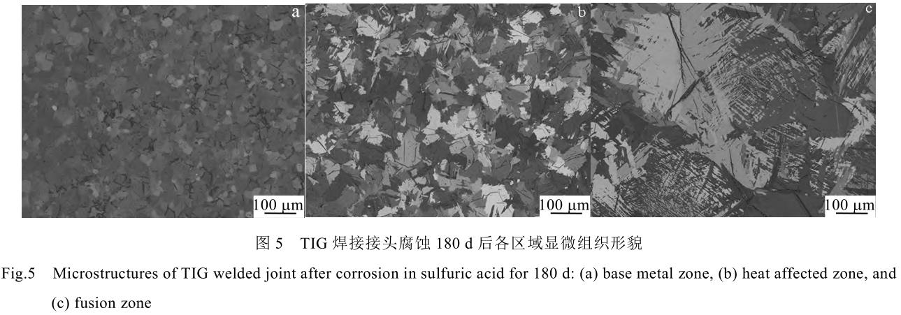 1729070646658021.jpg 5.jpg