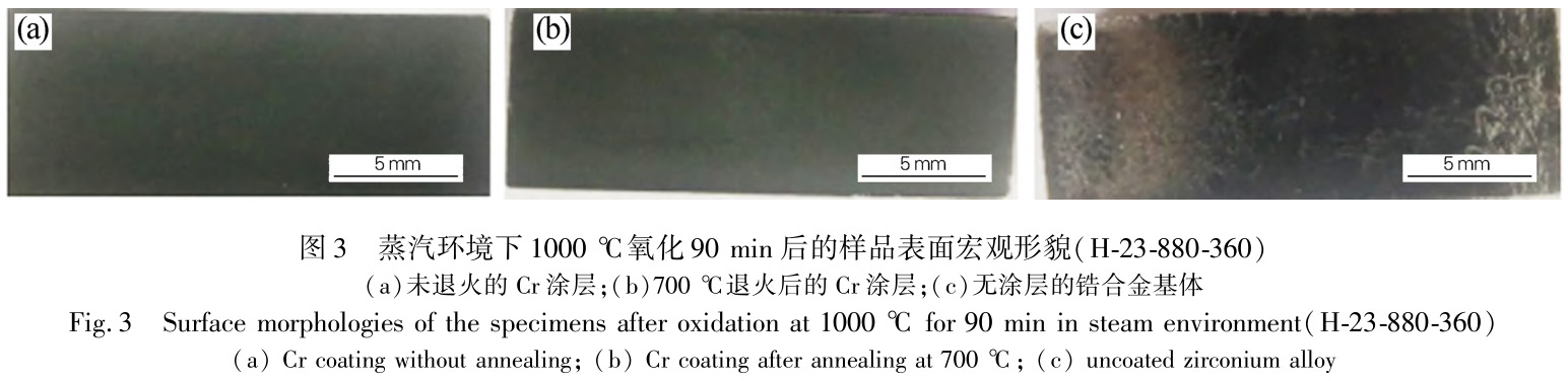 1729500906388994.jpg 3.jpg