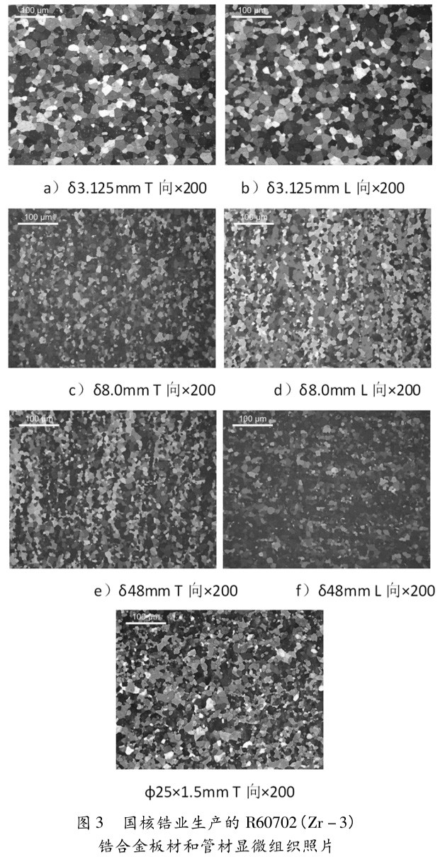 1729652965714785.jpg 3.jpg