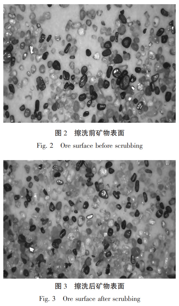 1731295586477123.jpg 2-3.jpg