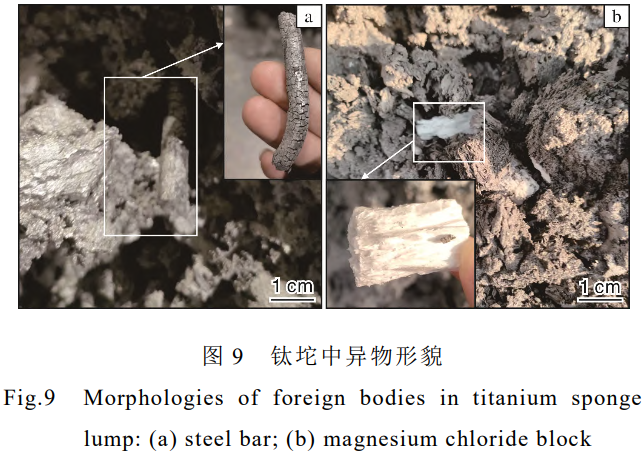 1732434745331658.png 9.png