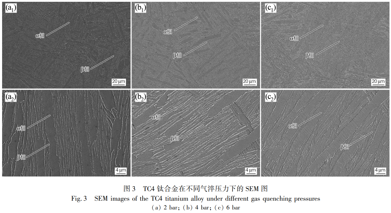 1734145982809456.png 3.png