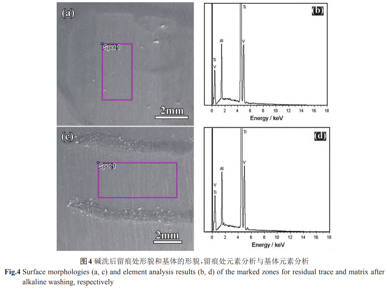 1738593683166509.jpg 4.jpg