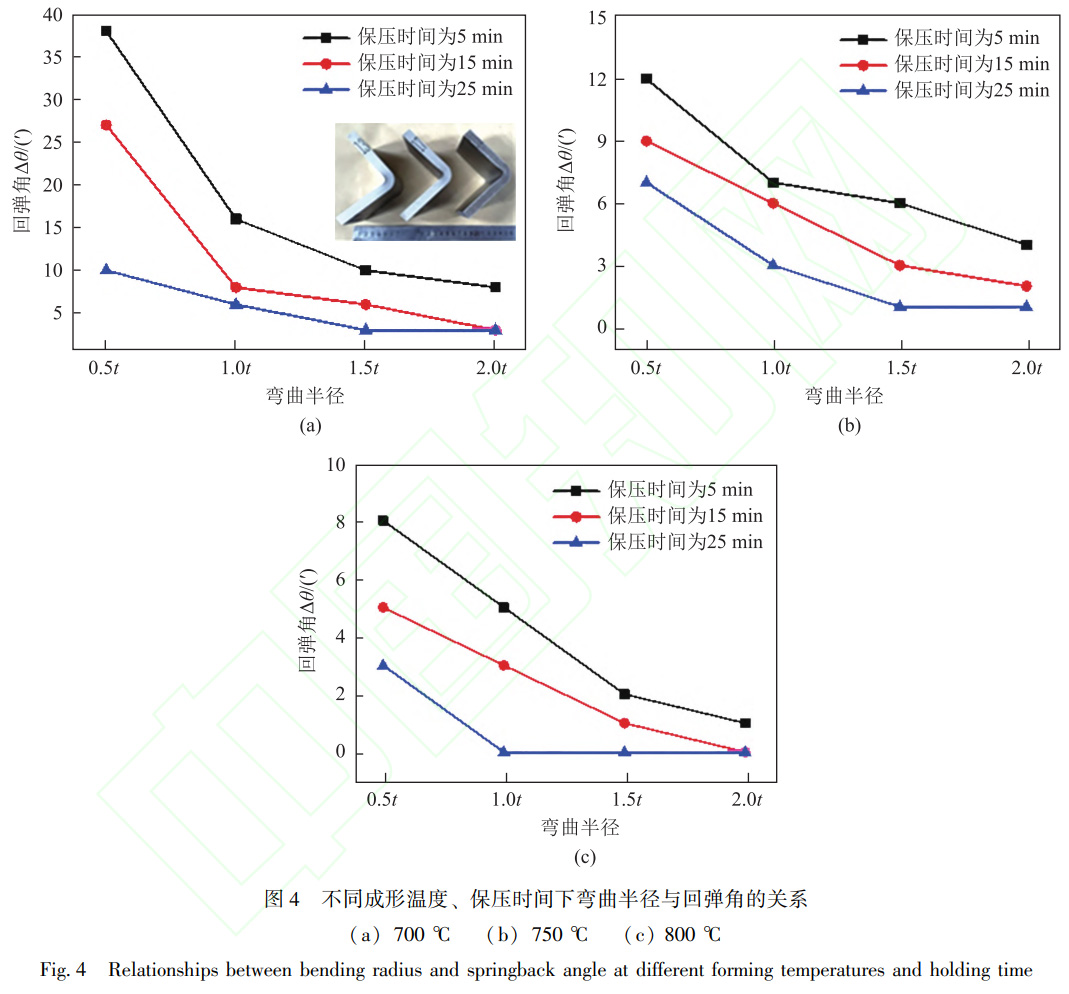 1738670818308877.jpg t4.jpg